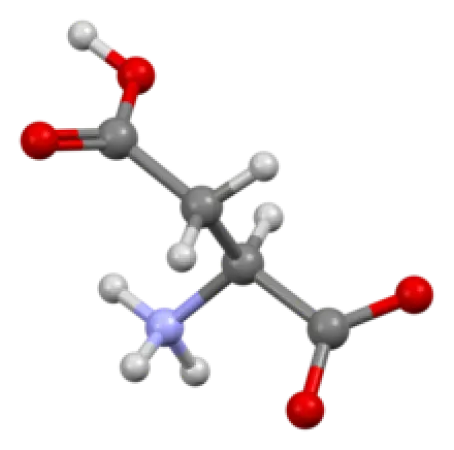 l-aspartic